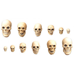 Skulls set 15-120 mm